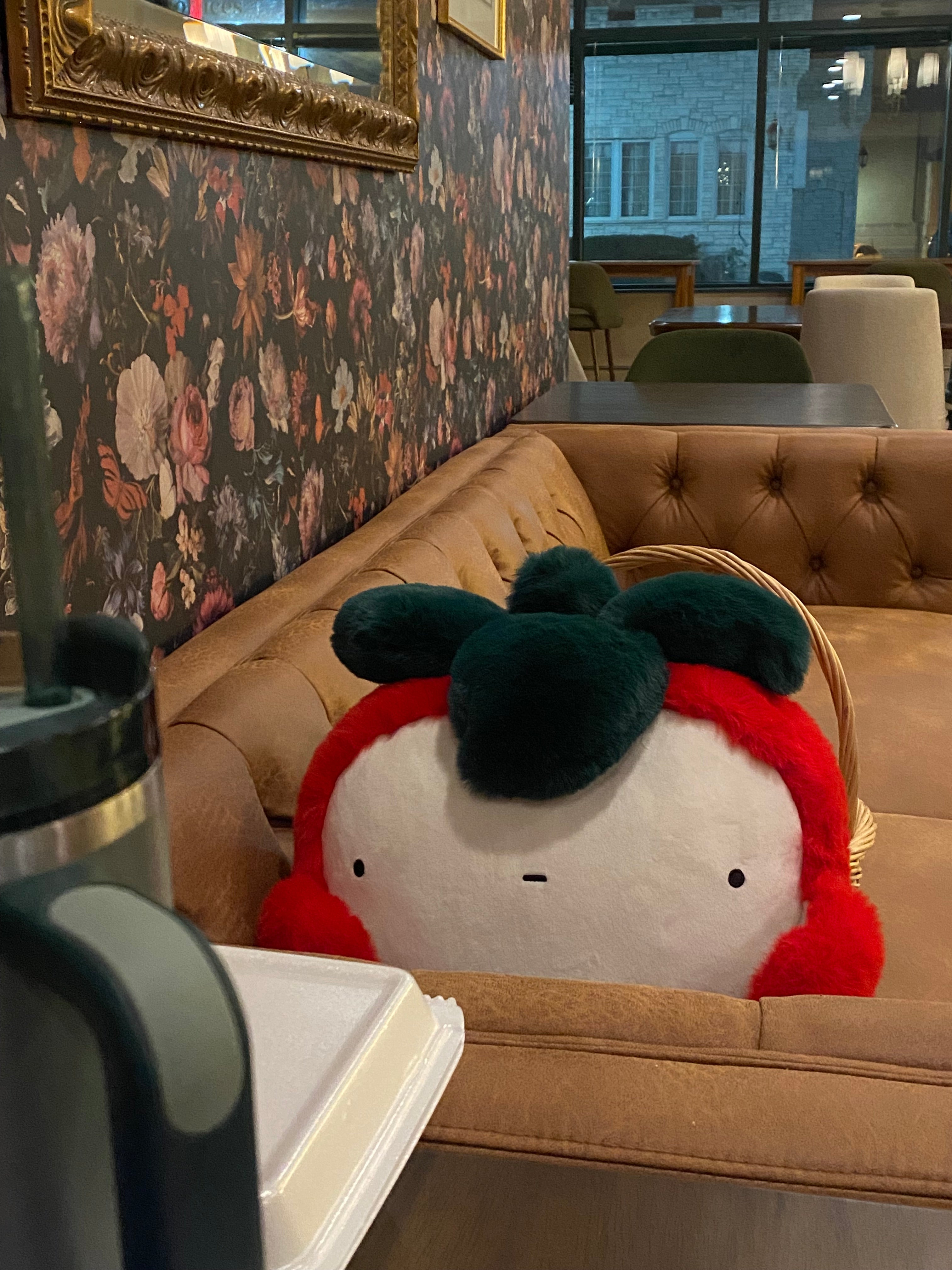 Benefits of having a Comfort Item!